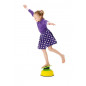 Tilting Disc Gonge Tilting Disc Gonge
