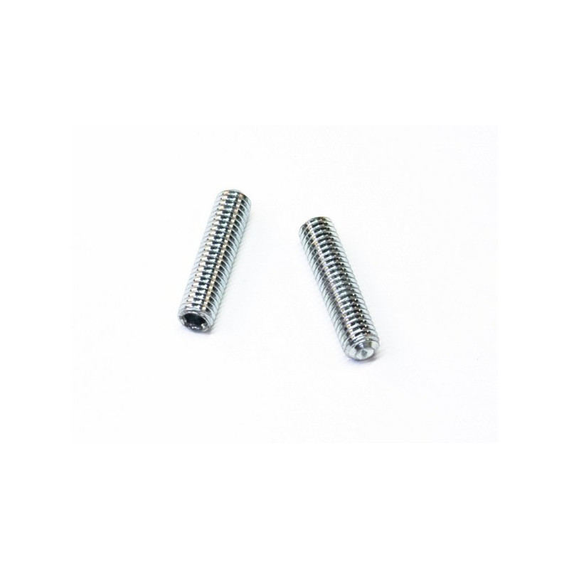 R700727 - Vis pointue (unité) RABO
