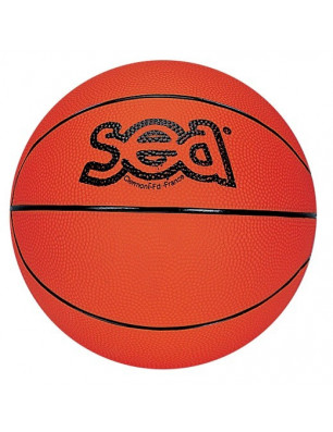 Ballon Basket Ball Futur Champ' SEA Sports France 067111
