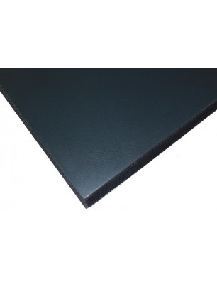 Tapis Gymnique Universel 2m x 1m x 4cm solo Sarneige E1/G10 Educ' Loisirs