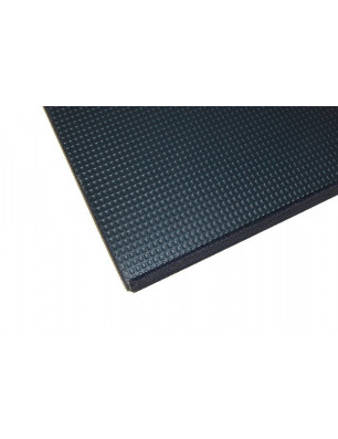 Tapis Gymnique Universel 2m x 1m x 4cm solo Sarneige E1/G10 Educ' Loisirs