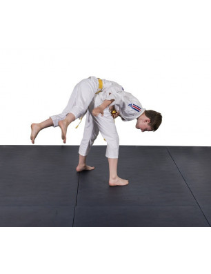Tapis Gymnique Universel 2m x 1m x 4cm solo Sarneige E1/G10 Educ' Loisirs