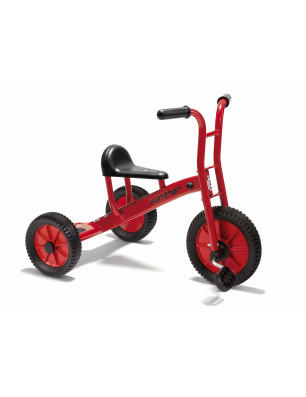 Tricycle small Viking Winther 450.00