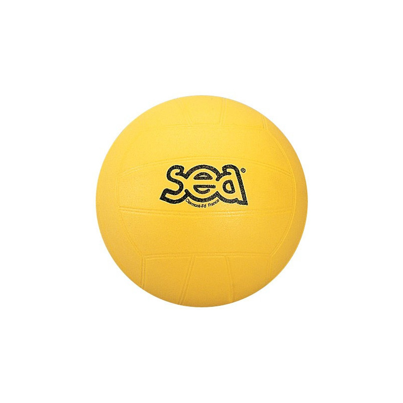 Ballon de Volley-Ball Initiation SEA