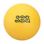 Ballon de Volley-Ball Initiation SEA