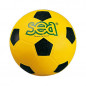 Ballon de Handball initiation SEA