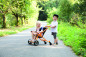 Poussette Top Trike Beleduc 64350