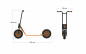 Trottinette Maxi Top Trike Beleduc 64390