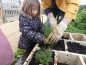 Carré potager MN015