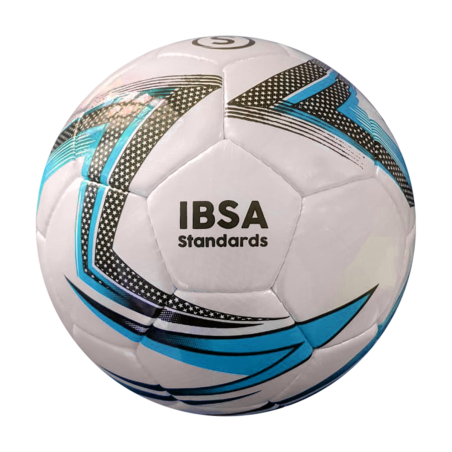 Ballon de Cecifoot et Torball