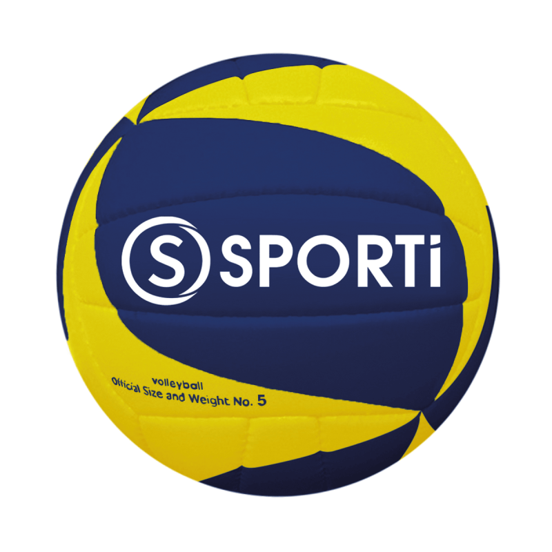 Ballon de Volleyball entrainement
