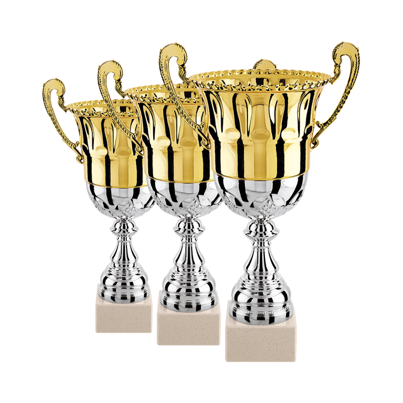 Lot de 3 coupes