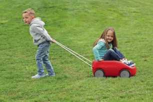 Caddy chariot à tirer BLS 332-00000 EDUC' LOISIRS