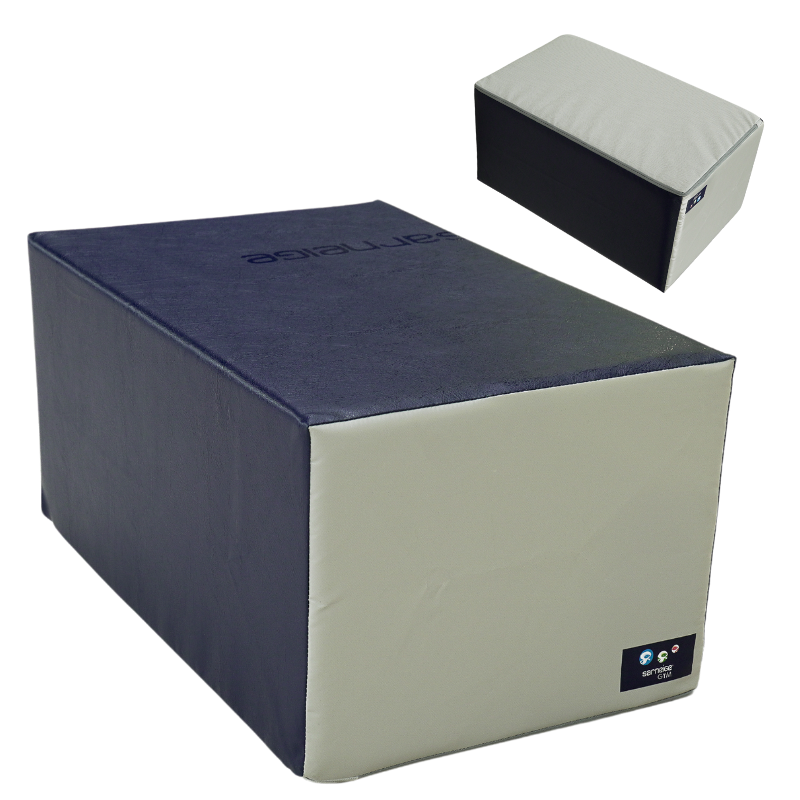 Mini Poutre Initiation Gym 4/7 ans Sarneige G503/400 Mini Poutre Initiation Gym 4/7 ans Sarneige G503/400